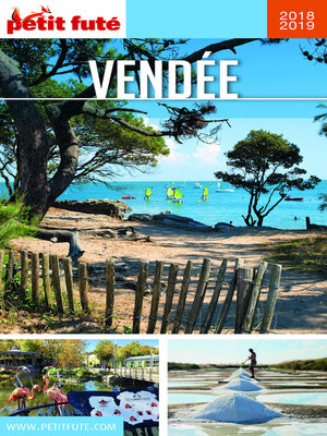 cover image of VENDÉE 2018/2019 Petit Futé
